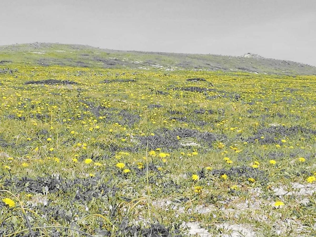 Ty Biz Villa Saint-Jean-Trolimon Dış mekan fotoğraf